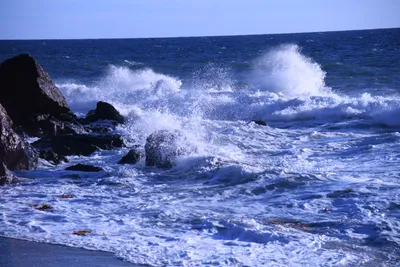 DSC_0583 (Large).JPG